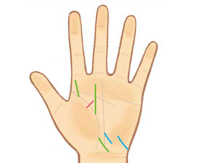 生命線で寿命は本当にわかる？手相占いの生命線の見方と意味まとめ