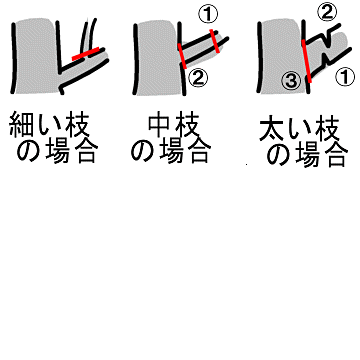 無用な果樹せん定枝を炭化処理して地球温暖化防止に貢献！ - 新潟県ホームページ
