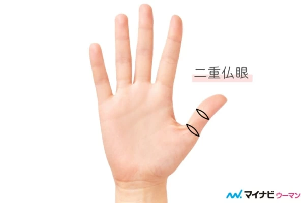 手相の指の意味は？長さや太さ、形の読み解き方について解説！日本占い師協会 JFTA