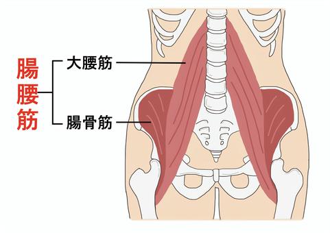 腸腰筋のストレッチ その1 – すぐに使える！リハビリのイラスト集