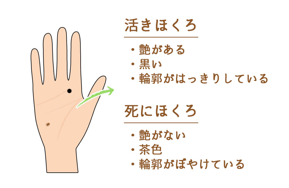 一生使える！ほくろ占い完全解説顔・体の位置別運勢と恋愛・金運・除去の注意点までGlam グラム