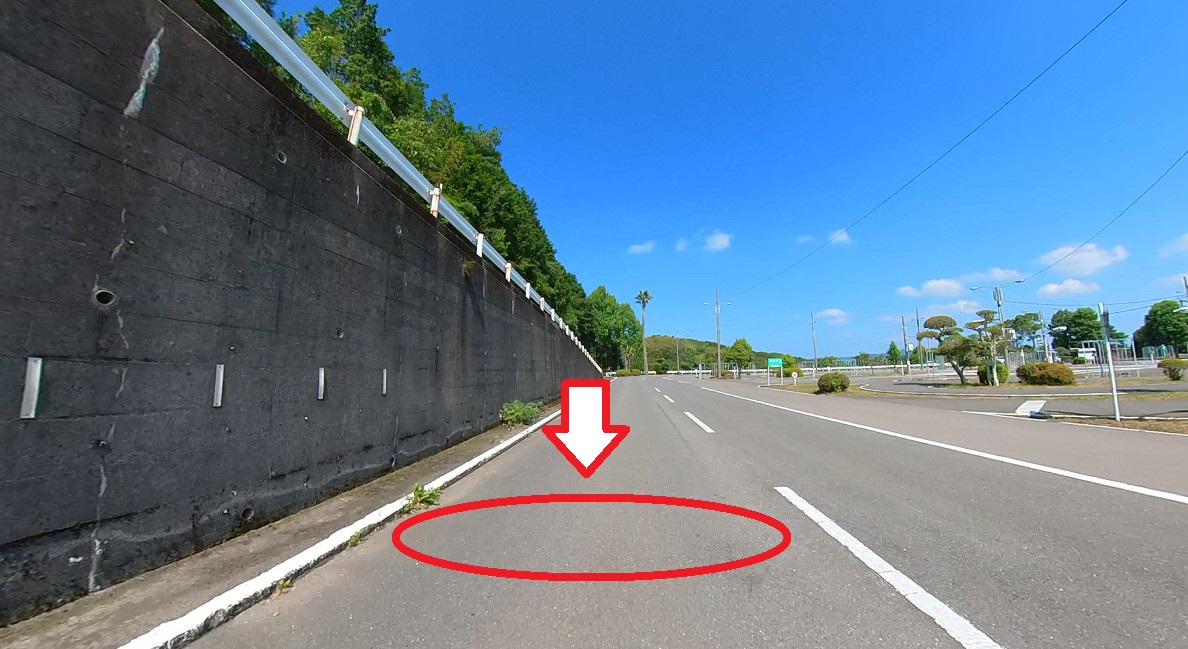 猫が見つめる理由とは？飼い主をじっと見る9つの心理ねこちゃんホンポ