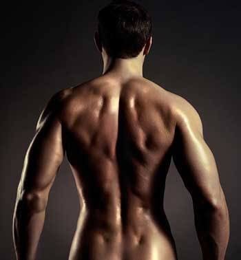 腰用クッション CuCu エクボ モカの卸・通販ビューティガレージ