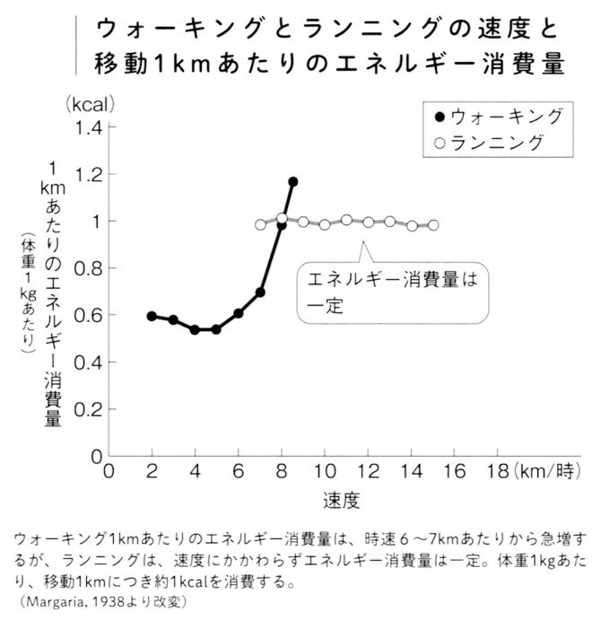 ダイエットにはウォーキング・ランニングどちらが効果的か比較検証！セルライトのススメ