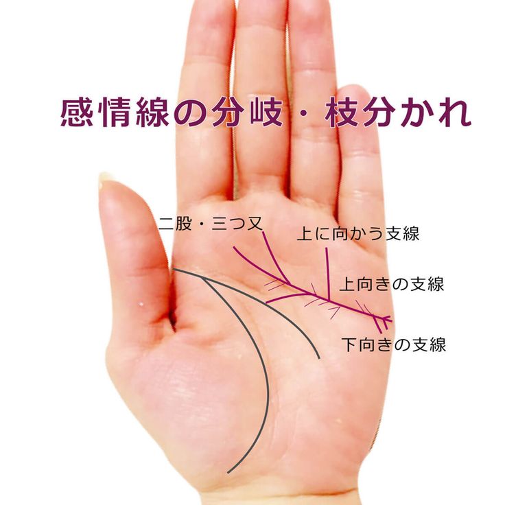 手相の見方を徹底解説初心者でも簡単！左右の違いや手相占いの基本をご紹介