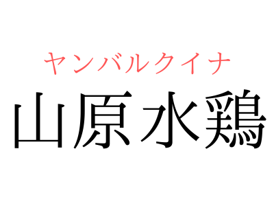 読めたらスゴイ！ 「山原水鶏」とは一体何のこと！？沖縄県のある地域にのみ生息する生き物なのですが・この漢字を読めますか？Cube ニュース