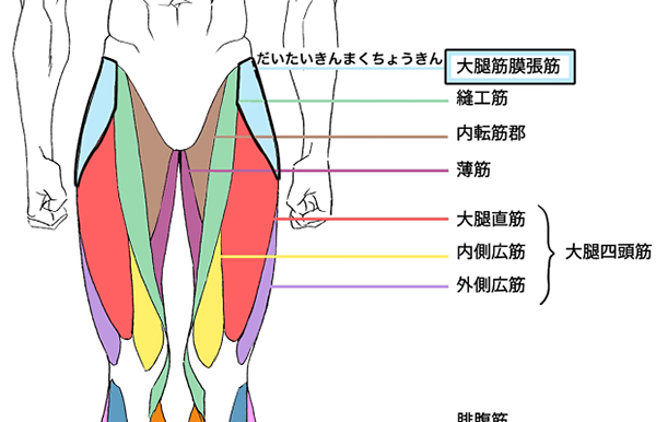 アスリートの脚4 - No: 45239写真素材なら「写真AC」無料 フリー ダウンロードOK