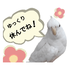 スギ薬局 公式on X: 