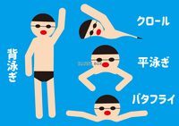 イラストで解説✨ クロールのストローク練習✓ 今回はこの夏マスターしたいクロールの泳ぎ方を解説です‼️✨ 他の投稿はこちらから@yu_sugaharaスイミングスクール水泳教室ジュニアスイマー水泳コーチプールデビュー水泳スイミング 水泳トレーニング水泳