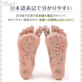 足側面の反射区・足つぼ モノクロ図解イラストのイラスト素材89105559- PIXTA