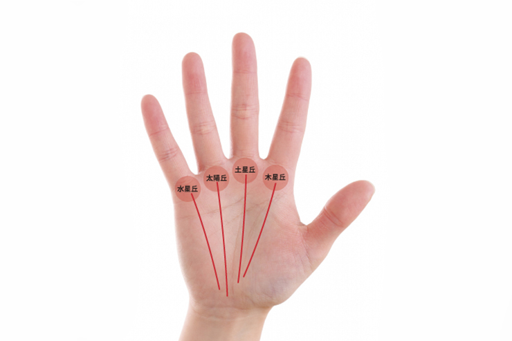 手相占い 女性が持っているとレアな線をランキング形式で紹介！michill byGMO ミチル