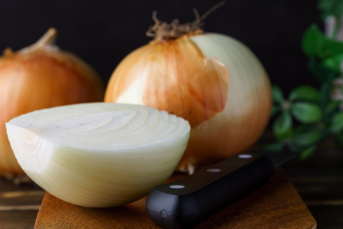 犬猫に玉ねぎは与えないで！玉ねぎをなめたら？調理後の玉ねぎは？注意点を解説ペットフード販売士マッサンの犬猫レシピ