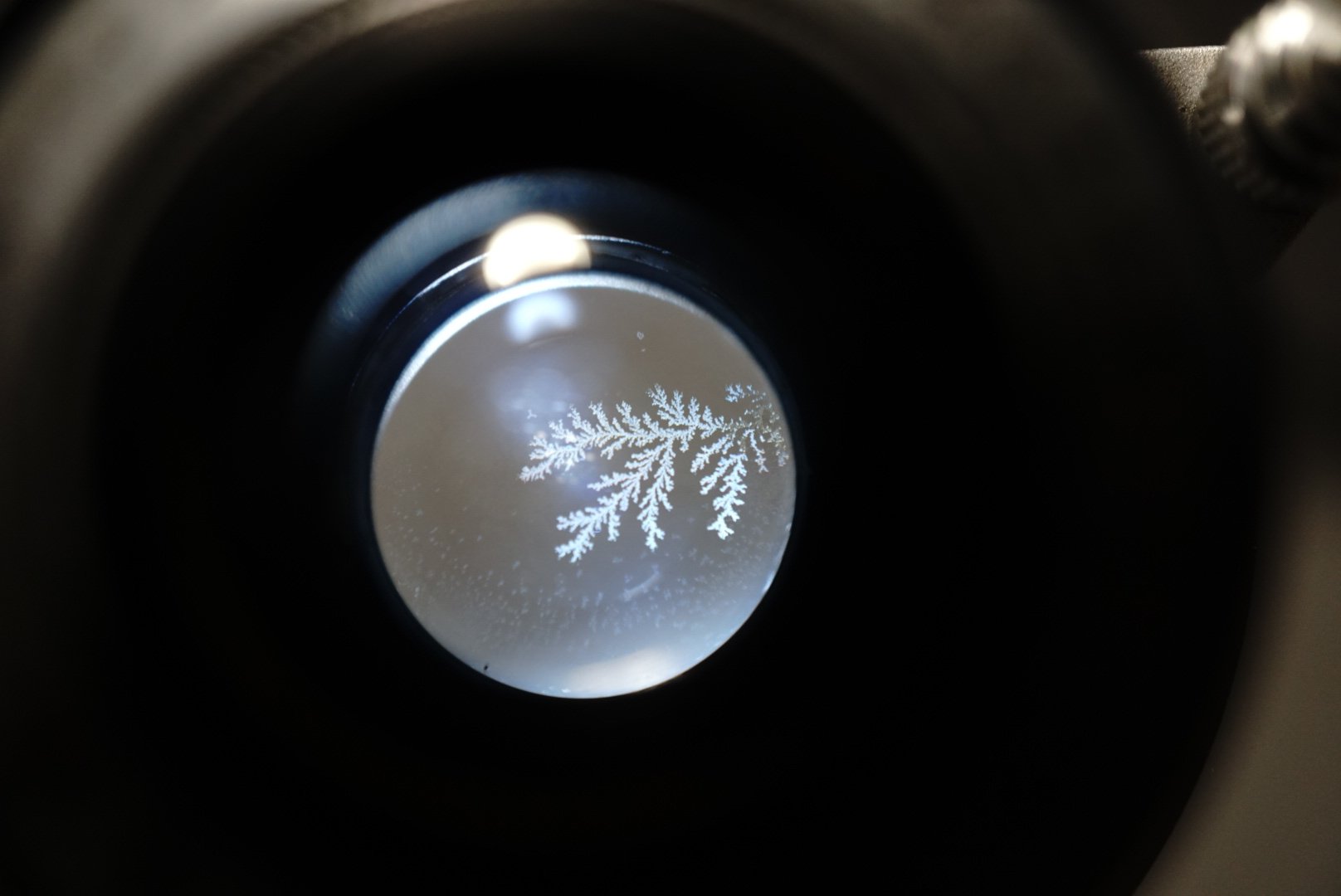 ◎ 解説：バルサム切れの見分け方一つの手法