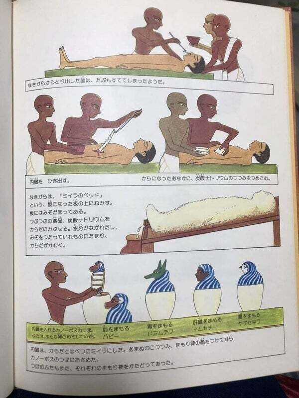 絶版❗️ミイラの作り方がわかりやすく学べる「エジプトのミイラ」