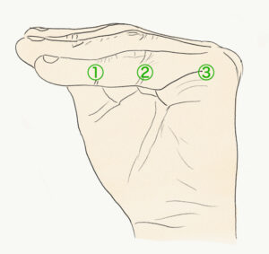 虫様筋、長趾屈筋腱、足底方形筋、足の筋肉イラスト - No: 22647565無料イラスト・フリー素材なら「イラストAC」