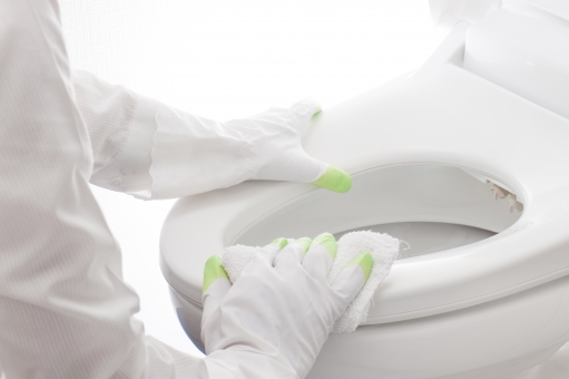 クエン酸を使ったトイレ掃除法