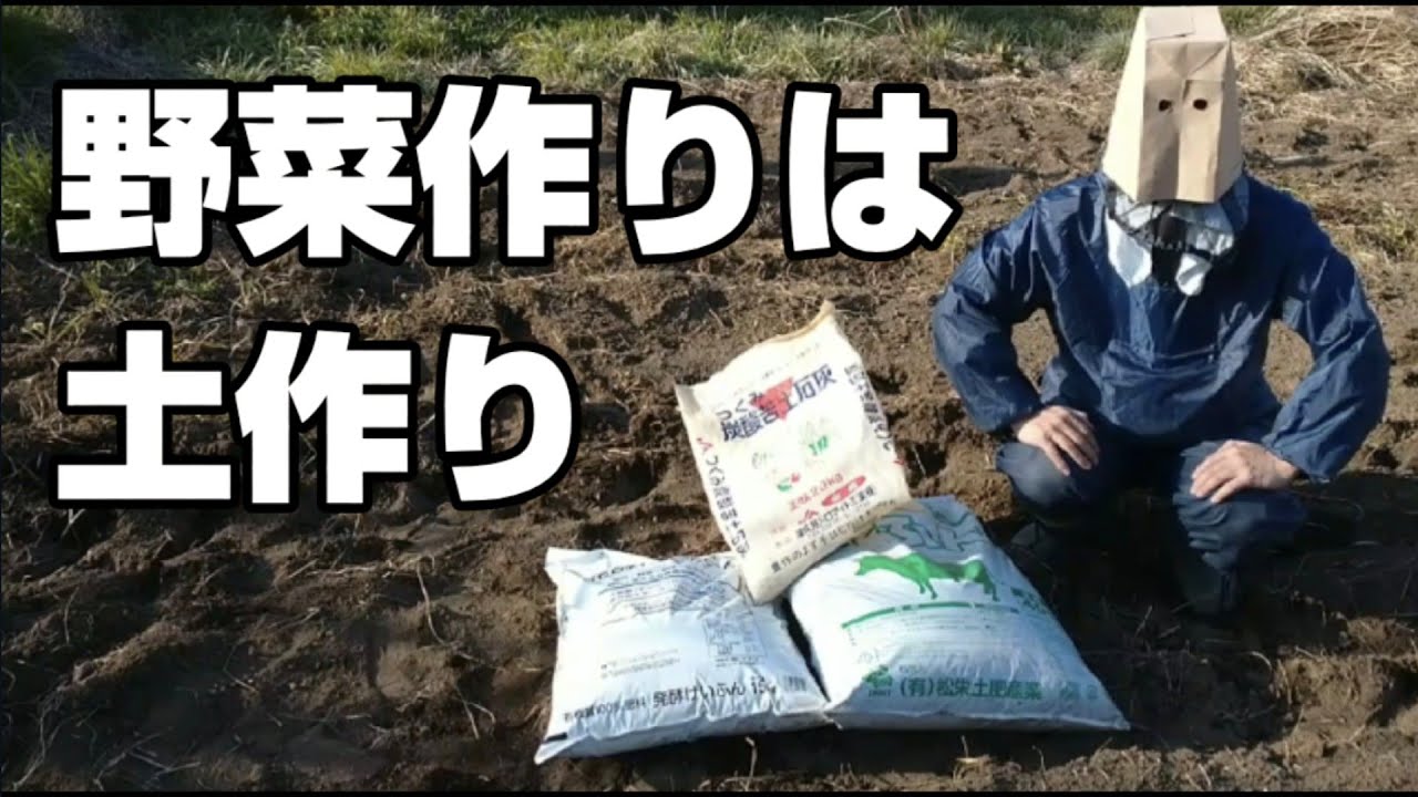 春夏野菜の土作り手順と時期！1ヶ月前からはじめる家庭菜園の準備しま農研