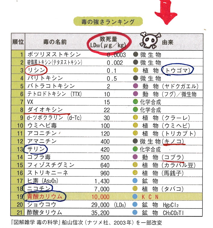19K07334 研究成果報告書