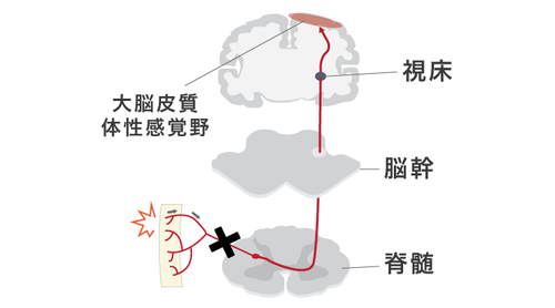 戸隠山～蟻の戸渡り登山レポート登山・アウトドア用品の専門店 好日山荘