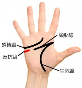 手相占い 手相の見方と意味を分かりやすく解説！また、最強運と言われる手相も紹介