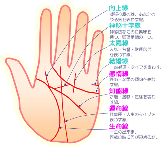 手相『知能線・頭脳線』を学ぼう！2股に枝分かれ？短いとおバカ？ 完全図解- zired