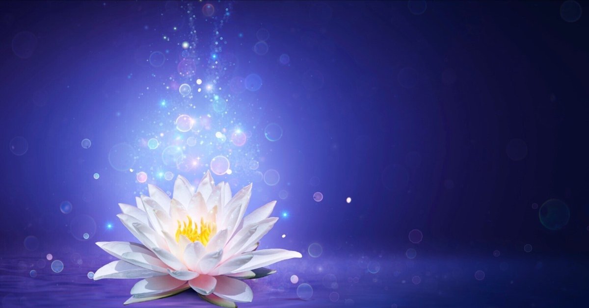 2025年のおとなの財布置き場所のアイデア56選