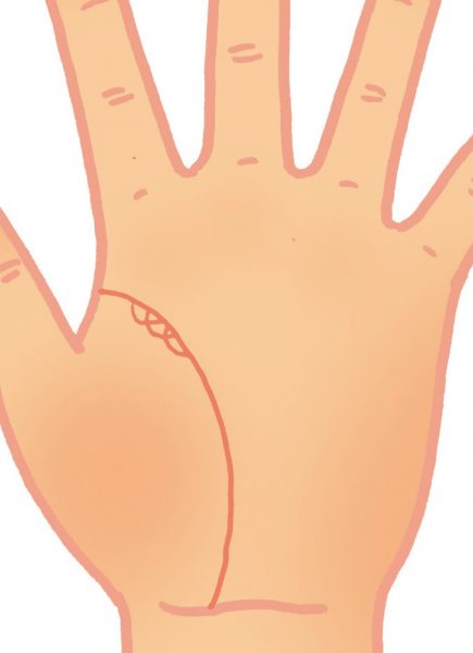 生命線が2本、3本 と複数ある手相、生命線に並行する線がもう1本ある手相の見方 二重生命線・副生命線・火星線・影響線・印象線簡単な手相 の見方を伝授します