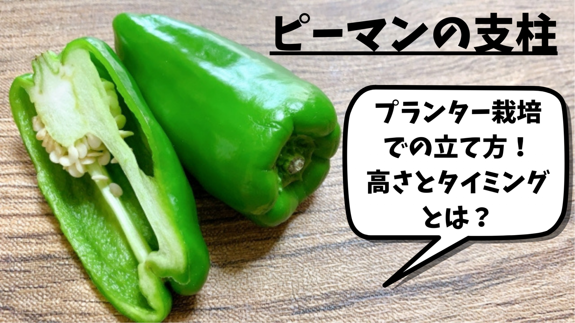 ピーマン収穫 ～プランター栽培～ - Cutter Mat's Blog