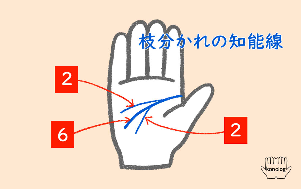 手相 知能線 枝分かれ 三本TikTok