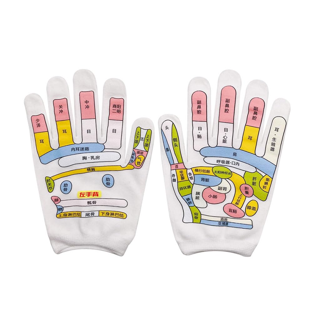 Amazon.co.jp: 左手経穴モデル、柔軟な曲げ可能な手ツボマッサージ反射領域モデル教育用 : Artist: 産業・研究開発用品