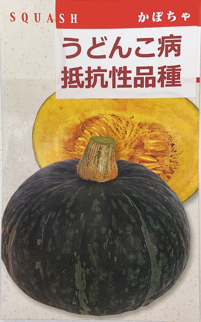 かぼちゃ最大の危機！ カボチャ日記: あーす楽園 ブログ