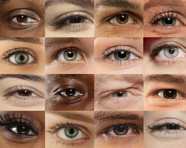 目の形を活かす 目の種類別アイメイク8選 人相診断もチェック♡Oggi.jp