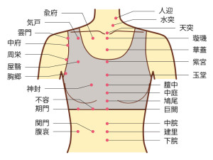 経穴参考図 肩こり・五十肩全医療器