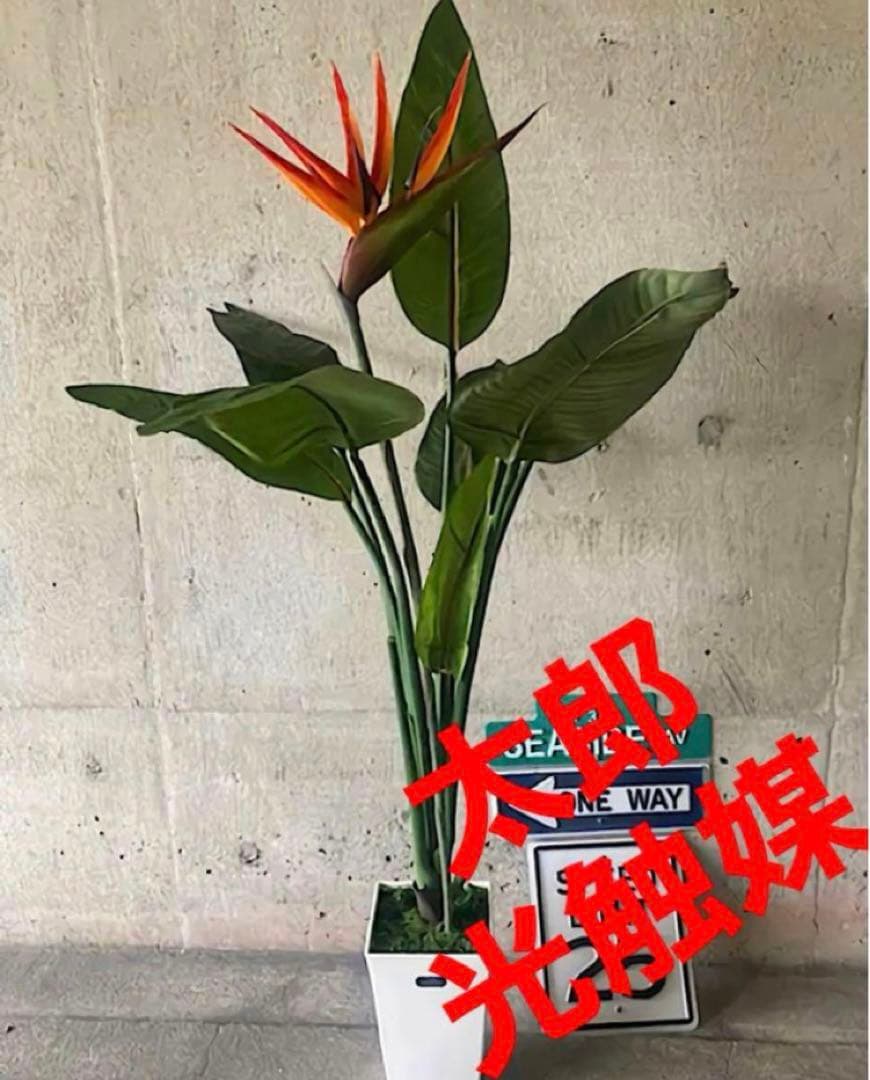 光触媒 人工観葉植物 オーガスタ ストレッチア極楽鳥2輪付きabcg
