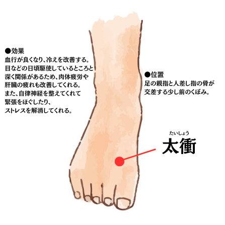 澄善堂 公式on X: 