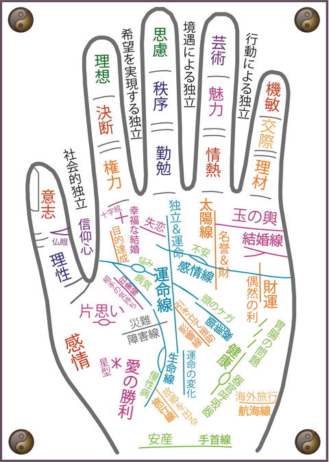 手相占い 右手の運命線が短い人は短期決戦型？ その意味と見方を教えますOggi.jp