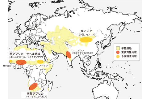 寄稿「砂漠化について考える。日常を非日常にしないために。」 ～6月17日は、砂漠化および干ばつと闘う国際デーです～国連広報センタ