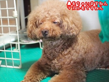 中学生におすすめ！ナチュラルでモテるメイク術とアイテム選びのコツ