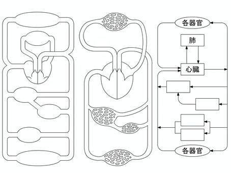 血液循環促進剤のベクトル - 無料の高品質ベクトルを Freepik からダウンロードFreepik