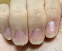 指や自爪の形で似合うネイルが決まる？形別おすすめネイルデザイン紹介ネイルスクールキャリエール 東京・横浜・立川のネイルスクール