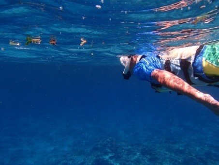 この画像を見てゾッとしたら、あなたも「水中人工物恐怖症」かも