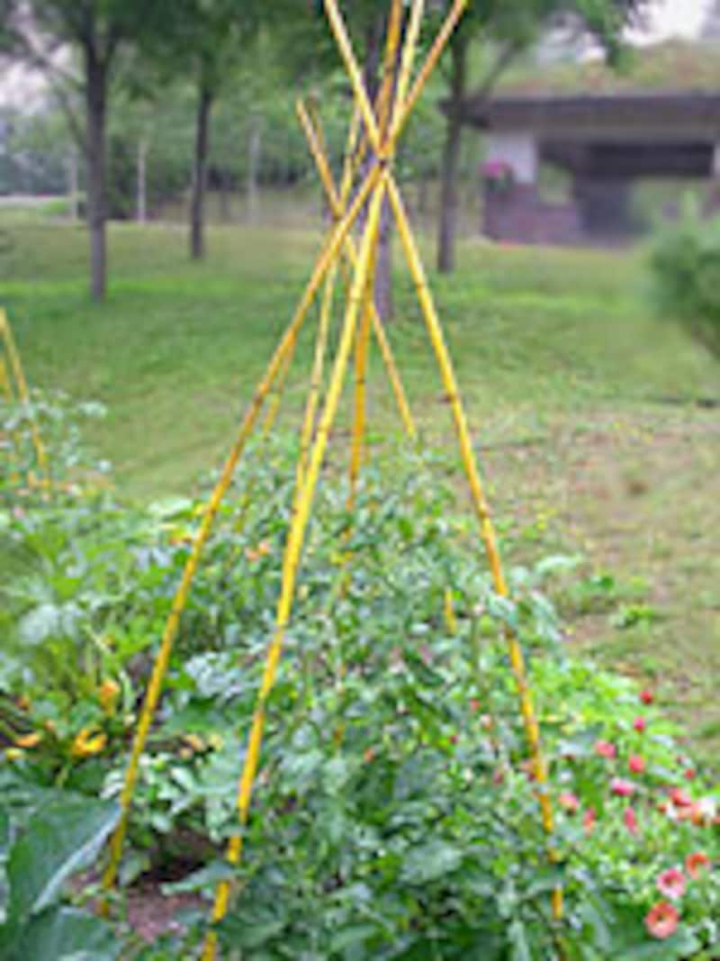 いぼ結び 紐・ロープの結び方となりのカインズさん