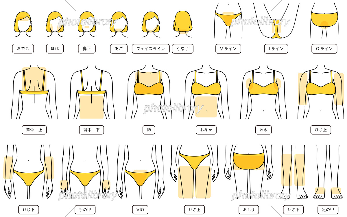 脱毛シルエット イラストの無料ダウンロードサイト「シルエットAC」