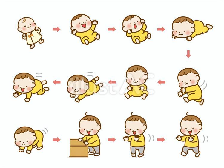 胎児の発育 医療関連のイラスト資料 」のイラスト素材 2520649669Shutterstock