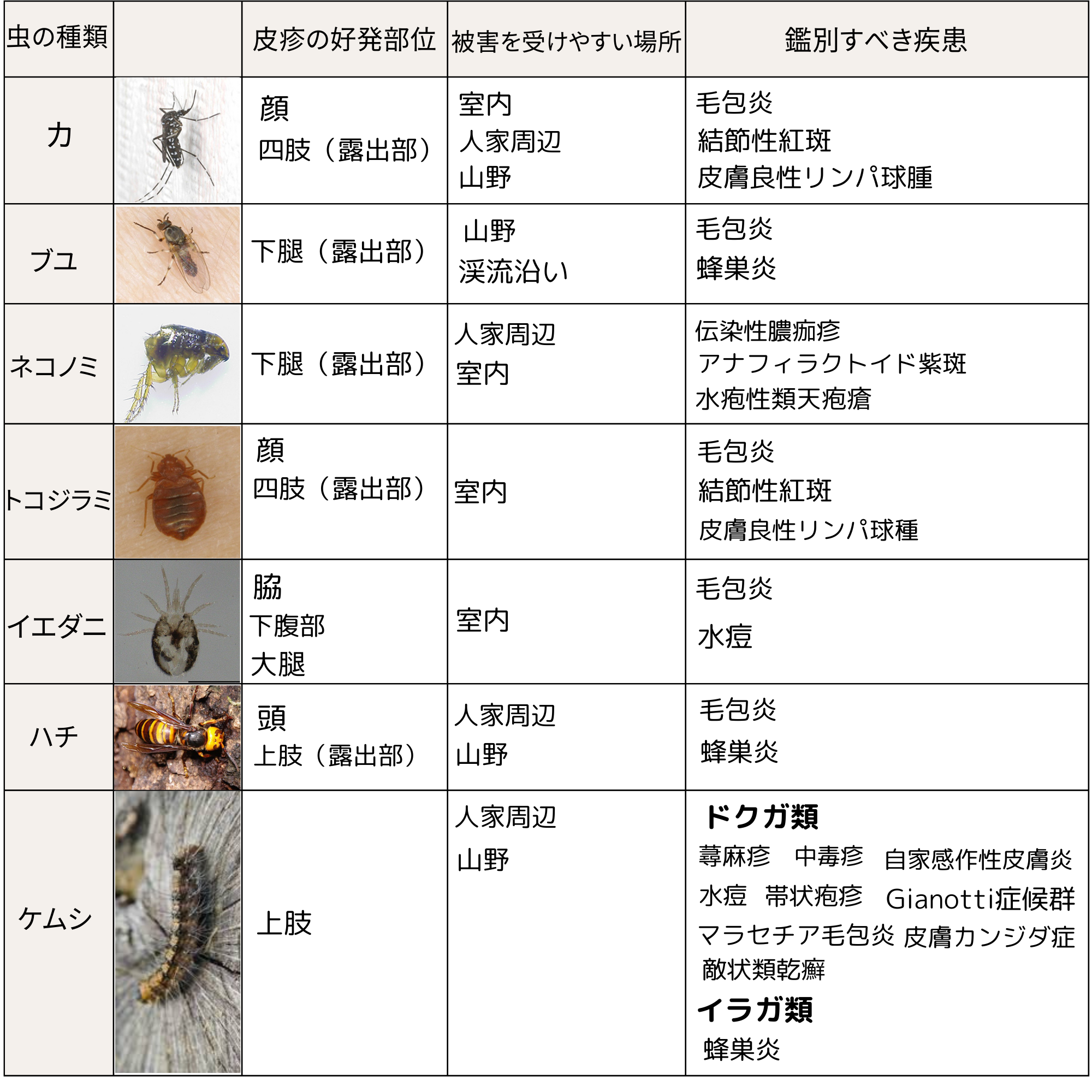 虫刺され』『とびひ』ってなに？ - 大城皮フ科クリニックブログ - 愛知県丹羽郡大口町の皮膚科、美容皮膚科の大城皮フ科クリニック