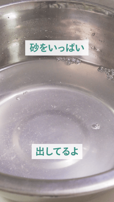 シジミの砂抜き 失敗する人がやりがちな5つのこと 正しい方法を栄養士が解説Hint-Pot