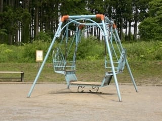 昭和の遊具は超スリリング!? 回転ジャングルジムにぶら下がりシーソー 消えゆく懐かしの遊具たちラジトピ ラジオ関西トピックス