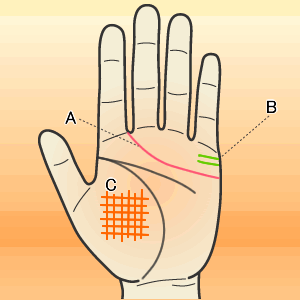 手相占い 手の「丘」から予想できるあなたの未来MIRRORZ ミラーズ無料の心理テスト・診断・占い