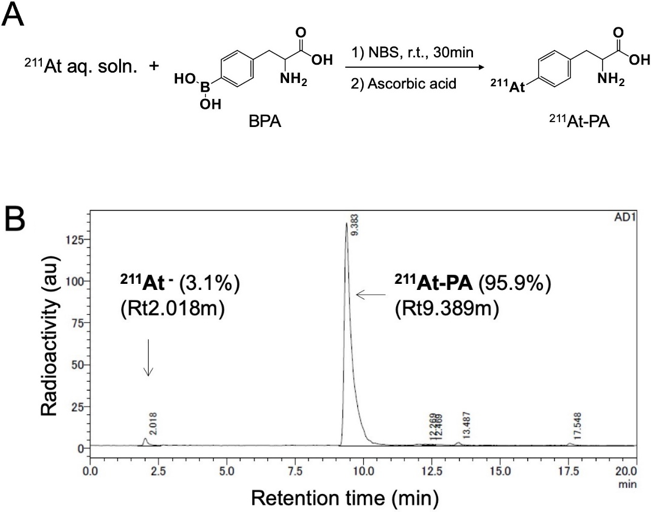 18K18383 研究成果報告書
