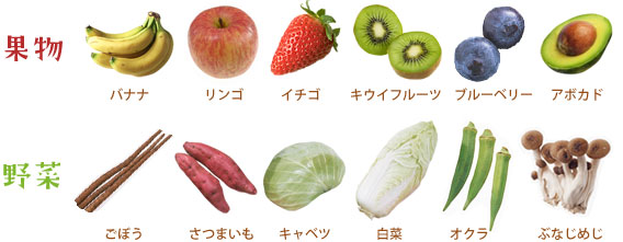 ブルーベリーの栄養と効能～健康効果だけでなく注意点も詳しく解説～シンクヘルス株式会社